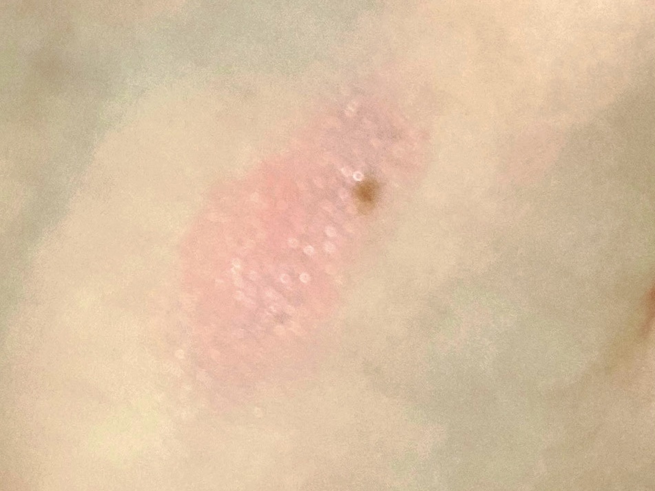 メルティールミナスルージュ（ティントタイプ）/キャンメイク/リップティントを使ったクチコミ（2枚目）