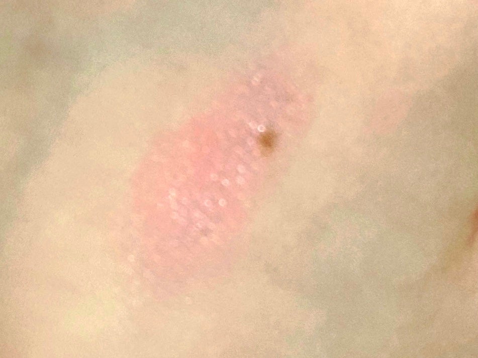 メルティールミナスルージュ(ティントタイプ)/キャンメイク/リップティントを使ったクチコミ(2枚目)