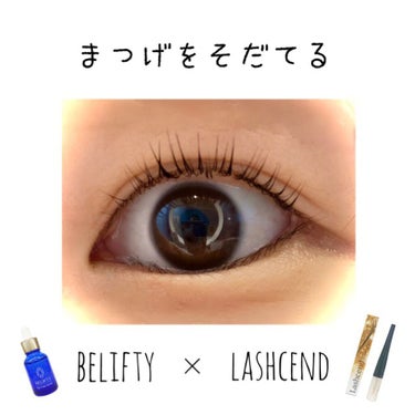 
わたしのまつ育日記　

------------------------------------

lashcend まつげ美容液

定期縛りなし
初回価格　¥3.278   (送料無料)

この時は