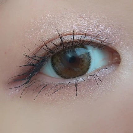 MY MIXED PALETTE 6色カスタムパレット/MN/マルチパレットを使ったクチコミ(6枚目)