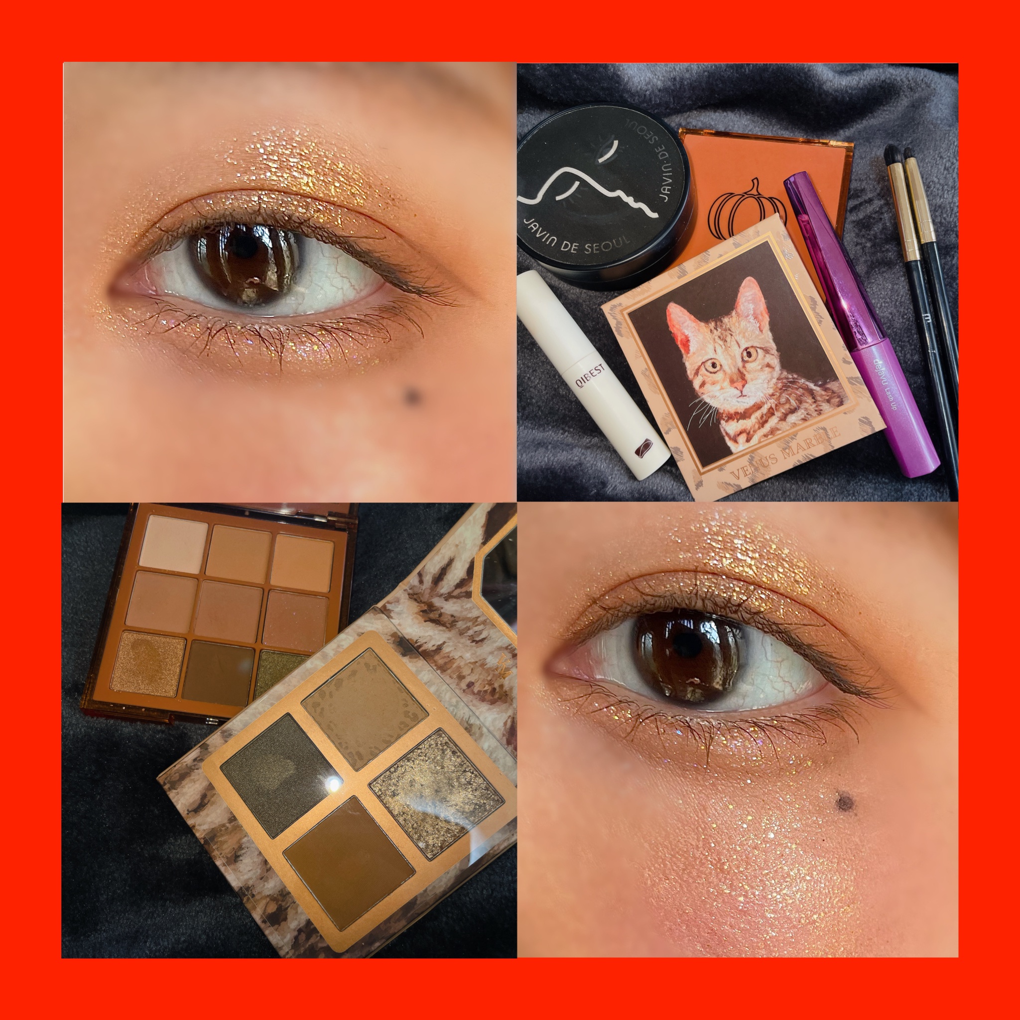  诗蒂娅九色眼影盘 (9 Colors Eye Shadow Palette)/SHEDELLA/アイシャドウパレットを使ったクチコミ（1枚目）