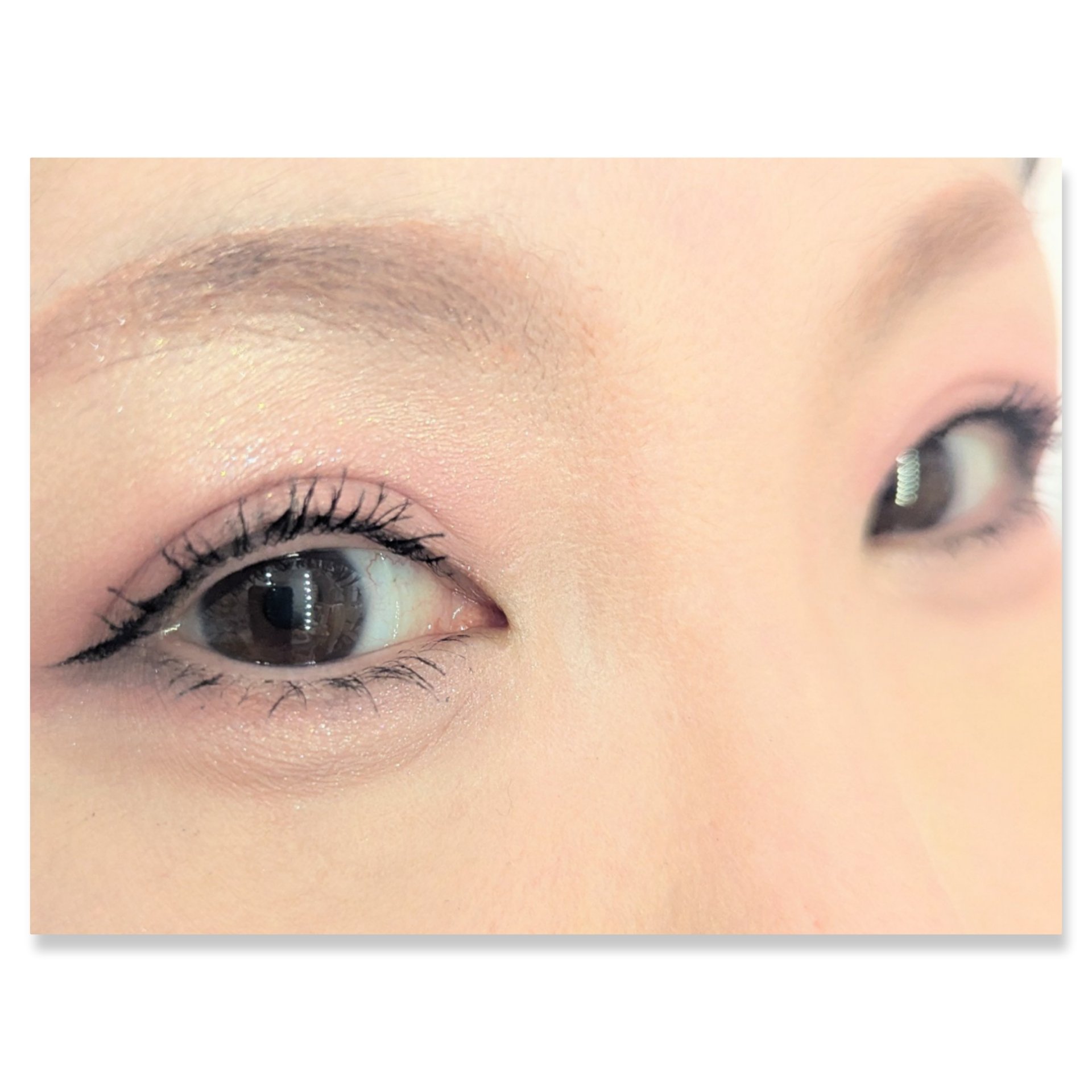 シャドーカスタマイズ/MAJOLICA MAJORCA/単色アイシャドウを使ったクチコミ（2枚目）