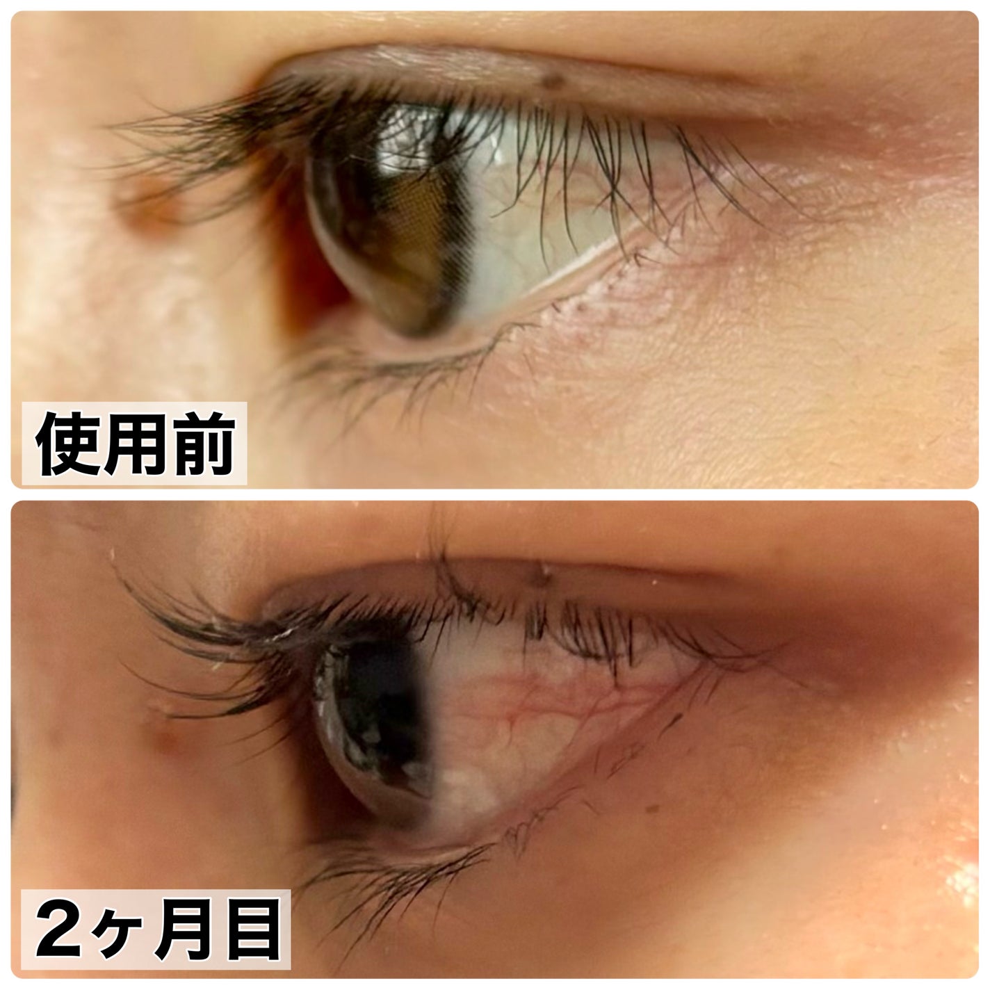 ラッシュルーティーン/キャンメイク/まつげ美容液を使ったクチコミ(2枚目)