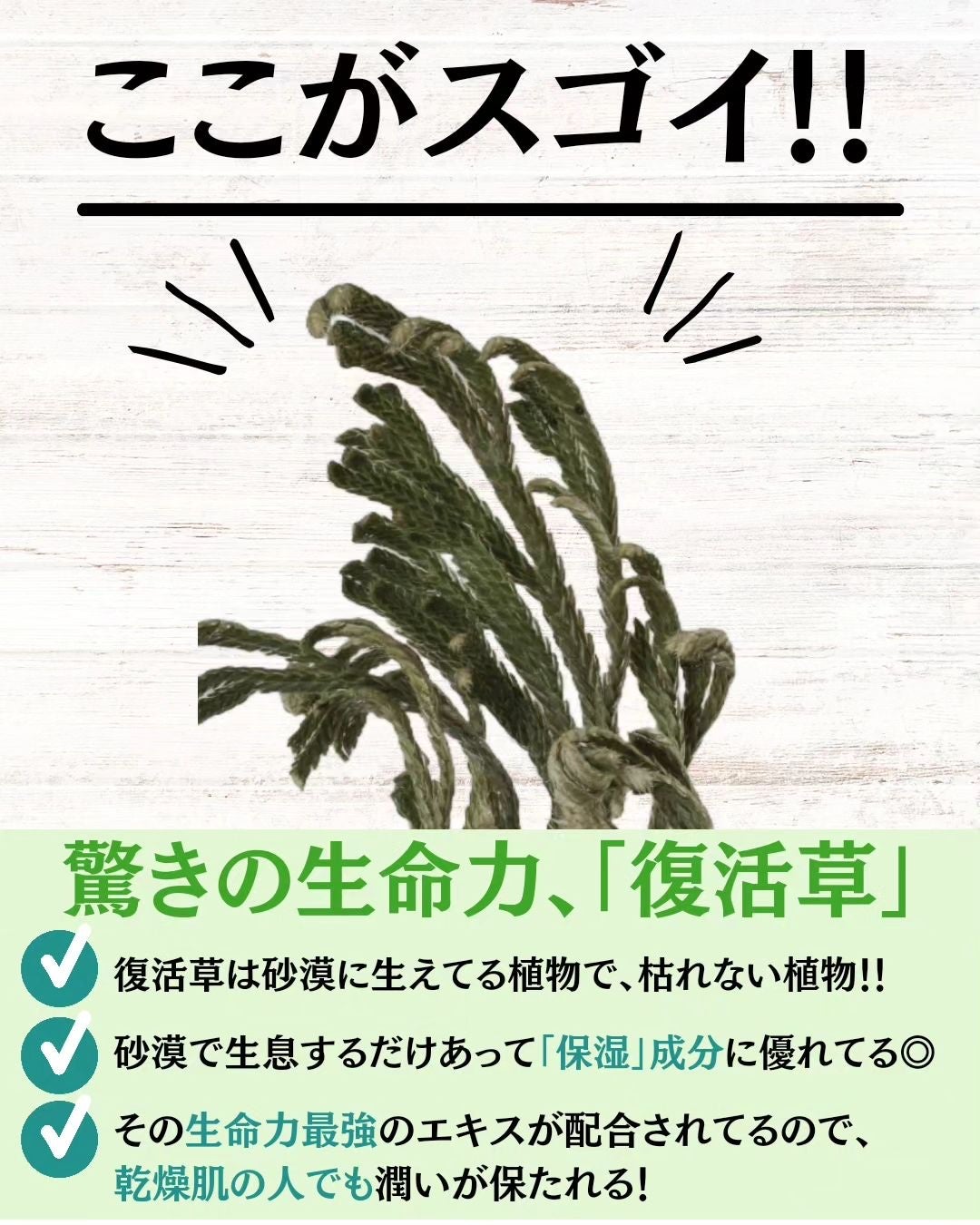 復活草クリーム ニュートリションチューブ/Abib /フェイスクリームを使ったクチコミ(5枚目)