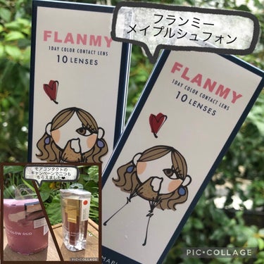 FLANMY 1day（10枚/30枚） メープルシフォン/FLANMY/ワンデー（１DAY）カラコンを使ったクチコミ（1枚目）