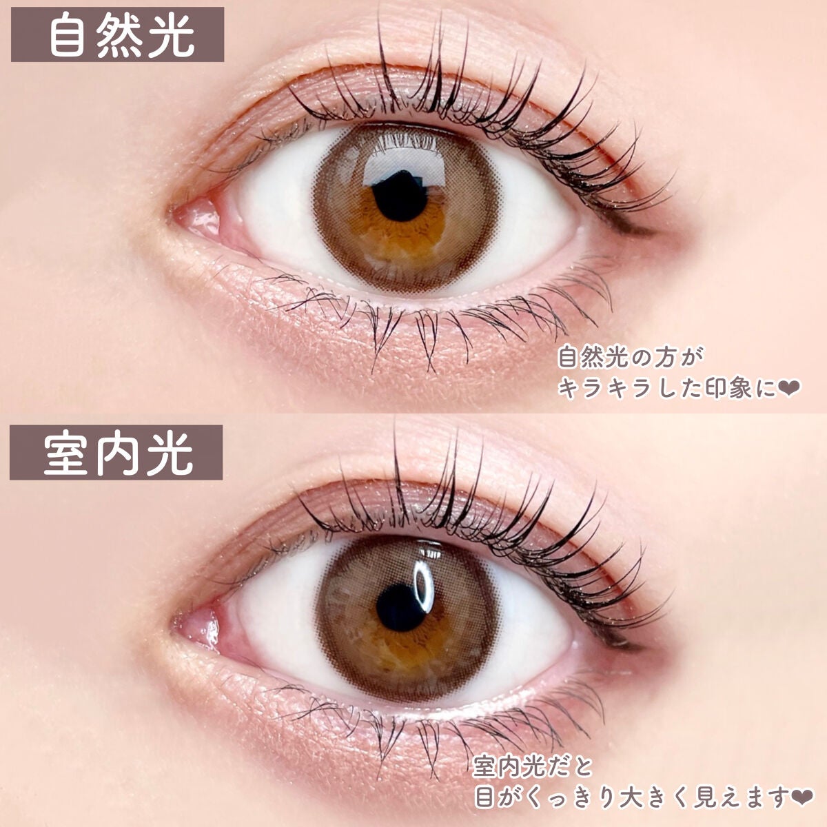 THE アイパレR/b idol/アイシャドウパレットを使ったクチコミ(4枚目)