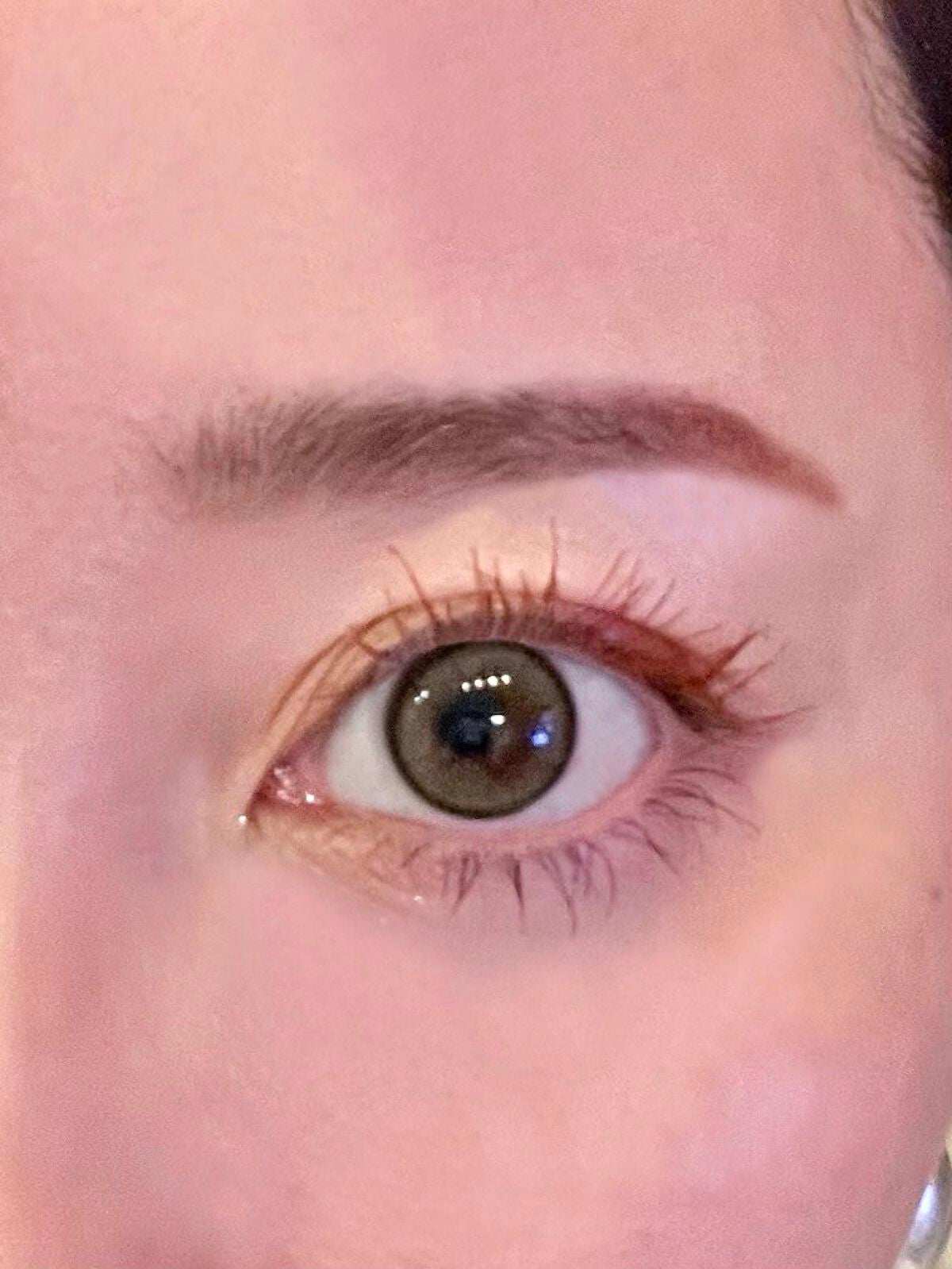 MOLAK 1day/MOLAK/ワンデー(1DAY)カラコンを使ったクチコミ(1枚目)