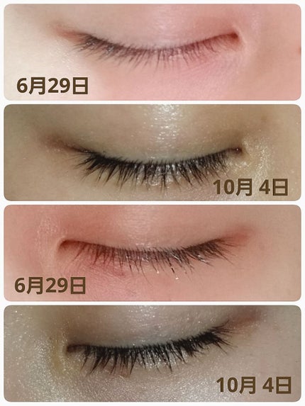 エクストラビューティ アイラッシュトニック/DHC/まつげ美容液を使ったクチコミ(2枚目)