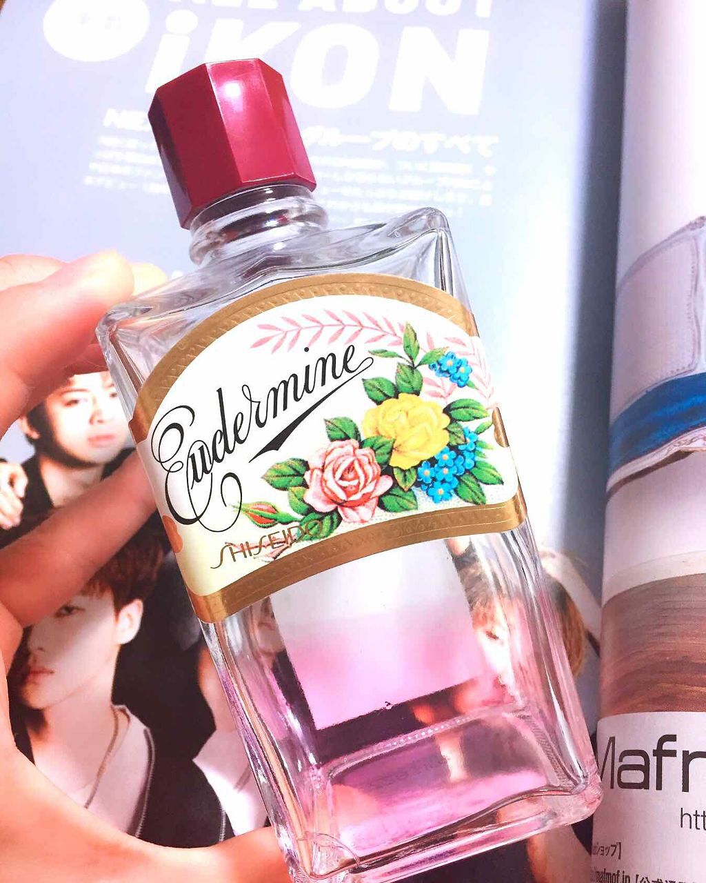 オイデルミン(N)/SHISEIDO/化粧水を使ったクチコミ(1枚目)