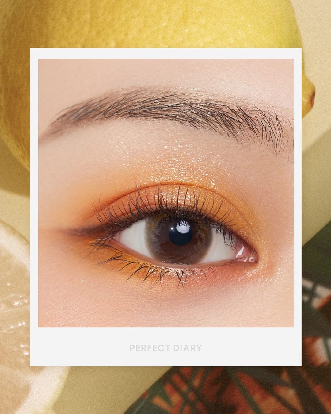 エクスプローラ12色 動物アイシャドウパレット/PERFECT DIARY/アイシャドウパレットを使ったクチコミ（1枚目）