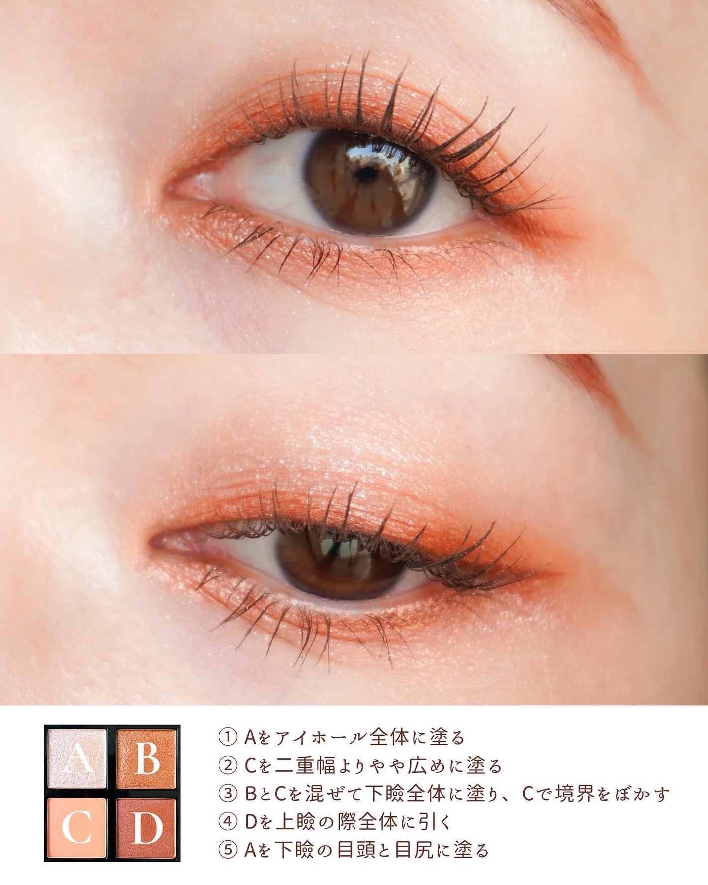 クロマティックス クワッド/shu uemura/アイシャドウパレットを使ったクチコミ(6枚目)