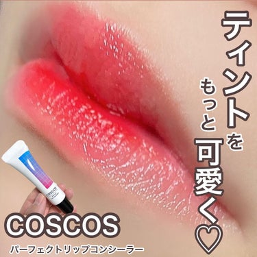 パーフェクトリップコンシーラー/COSCOS/コンシーラーを使ったクチコミ（1枚目）