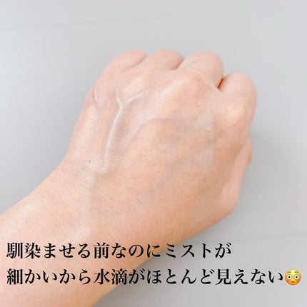 フォーリン イントゥー ザ ローズ ミスト/SIORIS/化粧水を使ったクチコミ(4枚目)