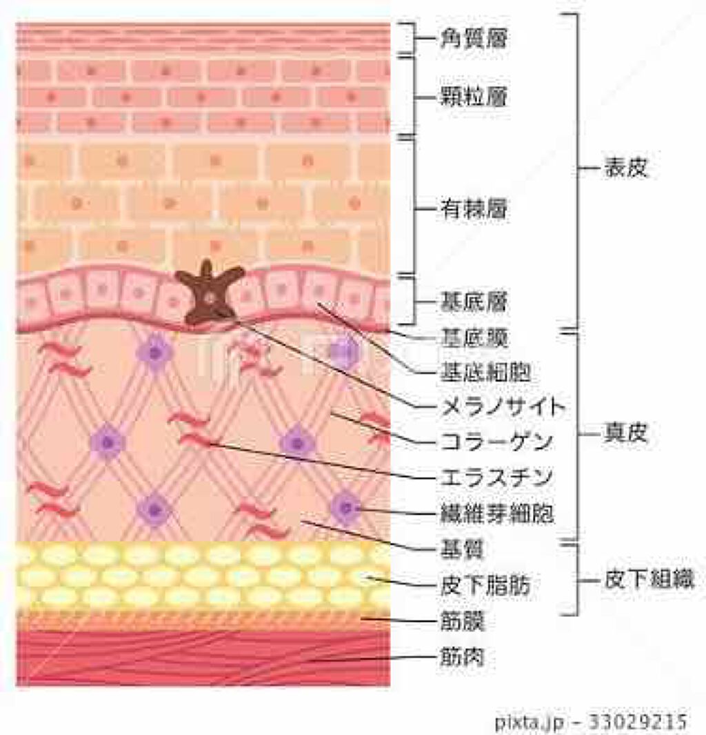 ハトムギ化粧水(ナチュリエ スキンコンディショナー R )/ナチュリエ/化粧水を使ったクチコミ（2枚目）