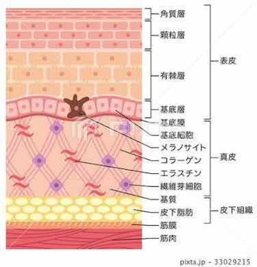 ハトムギ化粧水(ナチュリエ スキンコンディショナー R )/ナチュリエ/化粧水を使ったクチコミ（2枚目）