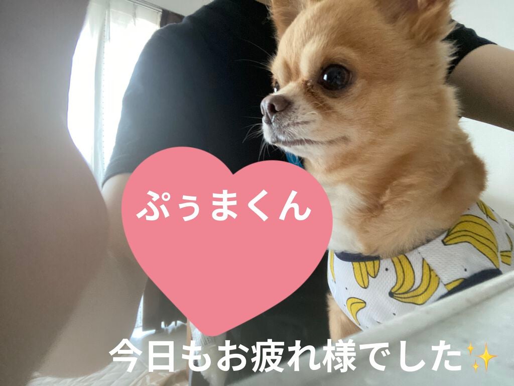 スペシャルケア ハンド マスク/innisfree/ハンドクリームを使ったクチコミ(6枚目)