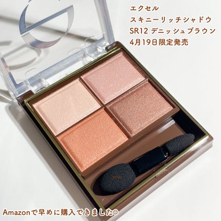 スキニーリッチシャドウ SR12 デニッシュブラウン(限定)/excel/アイシャドウパレットを使ったクチコミ(2枚目)