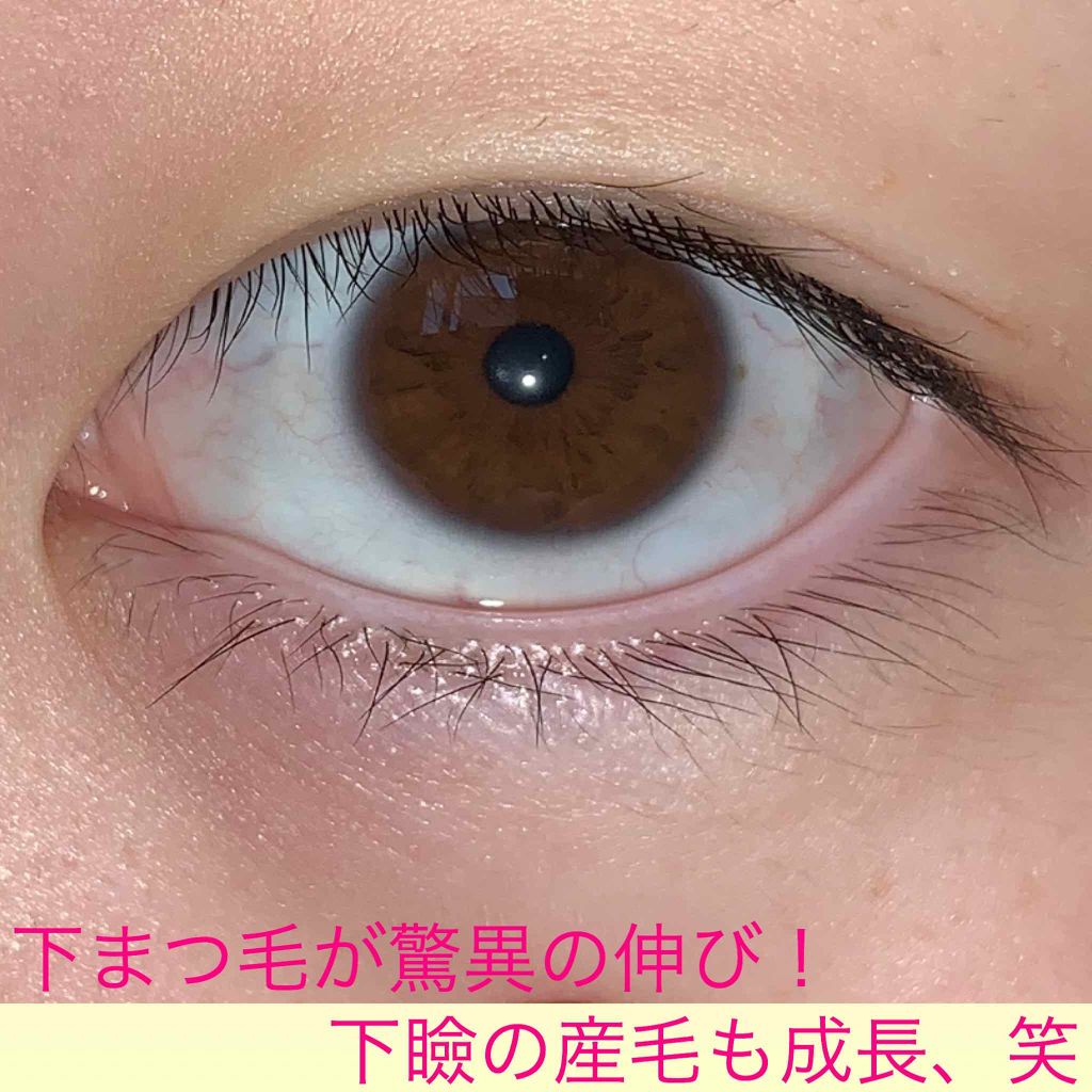 ラッシュジェリードロップ　ＥＸ/MAJOLICA MAJORCA/まつげ美容液を使ったクチコミ（3枚目）