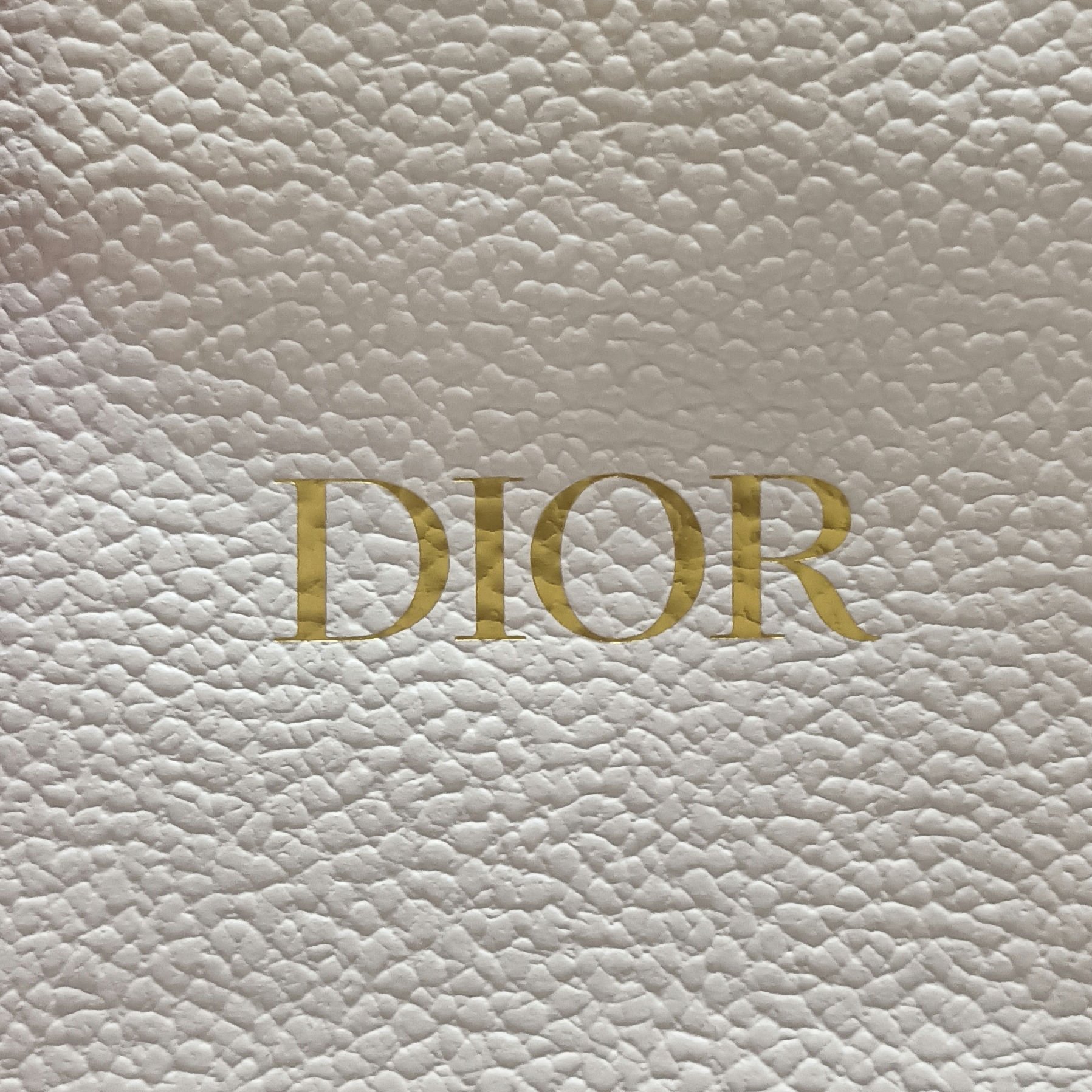 ディオール アディクト リップ ティント 251 ナチュラル ピーチ/Dior/リップティントを使ったクチコミ（2枚目）