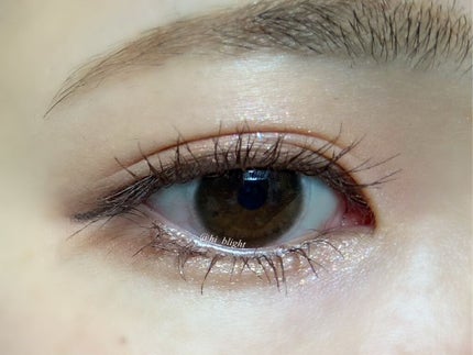 プロ アイパレット ミニ/CLIO/アイシャドウパレットを使ったクチコミ(5枚目)