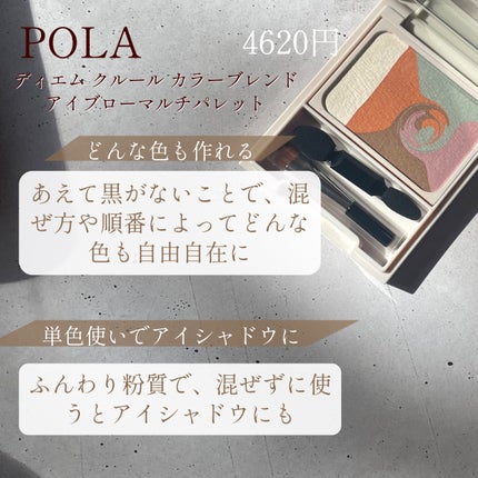 カラーブレンドアイブローマルチパレット/ディエム クルール/パウダーアイブロウを使ったクチコミ(2枚目)