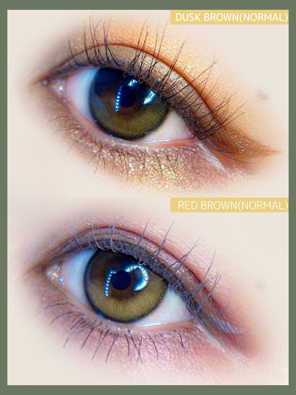 Secretive Kristen/Hapa kristin/カラーコンタクトレンズを使ったクチコミ(5枚目)