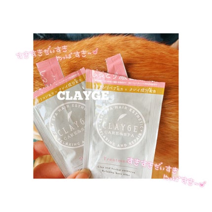 シャンプー/トリートメント DN ダメージケア/CLAYGE/シャンプー・コンディショナーを使ったクチコミ(1枚目)