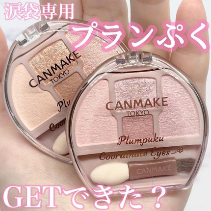プランぷくコーデアイズ/キャンメイク/パウダーアイシャドウを使ったクチコミ(1枚目)