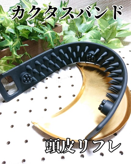 カクタスバンド/イエスパ/ツボ押し・マッサージグッズを使ったクチコミ(1枚目)