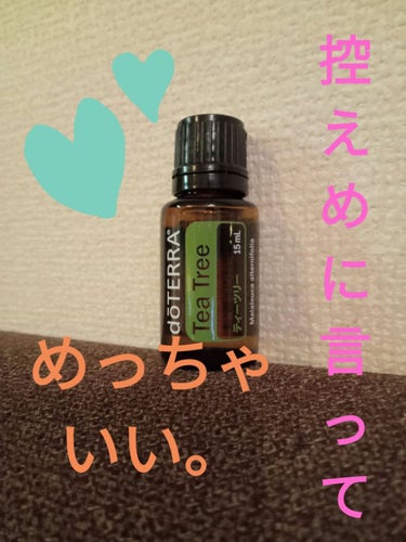 エッセンシャルオイル　ティートリー/doTERRA/ボディオイルを使ったクチコミ（1枚目）