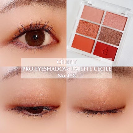 プロアイシャドウパレットセシル/CELEFIT/アイシャドウパレットを使ったクチコミ(1枚目)
