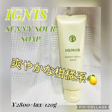 サニーサワー ソープ/IGNIS/洗顔フォームを使ったクチコミ（1枚目）