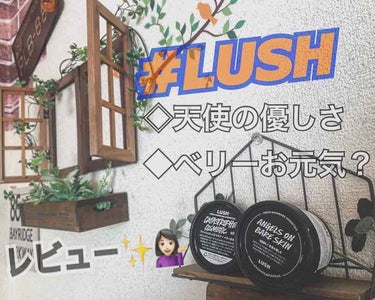 #LUSH ／天使の優しさ 🧚🏻‍♀️ 100㌘ ¥1180

・・・使用方法
適量を取り水を加えペースト状に練ります。
目の周りを避け肌をマッサージしながら
汚れとなじませ洗い流してください。

・・