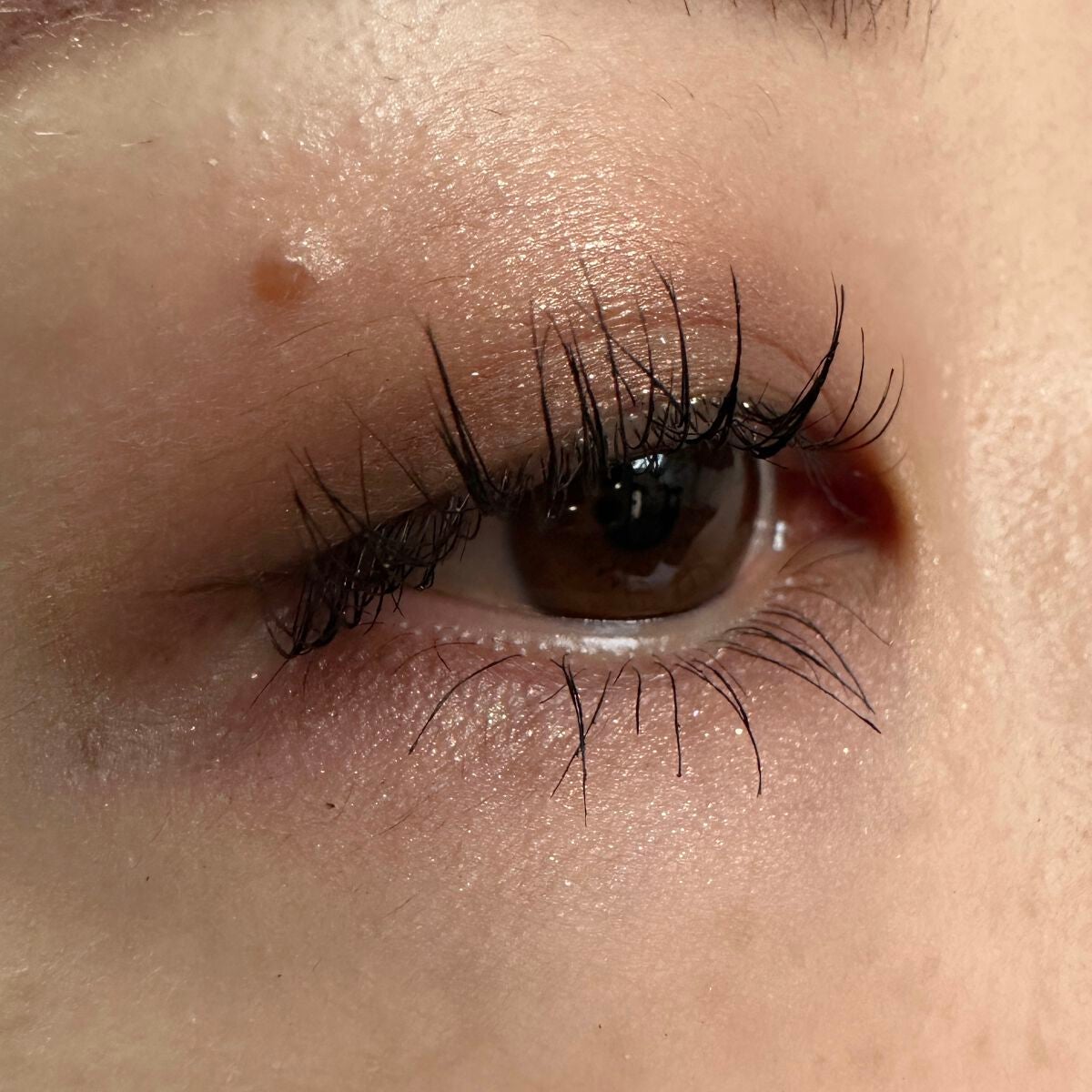 パーフェクトエクステンション マスカラ/D-UP/マスカラを使ったクチコミ(3枚目)