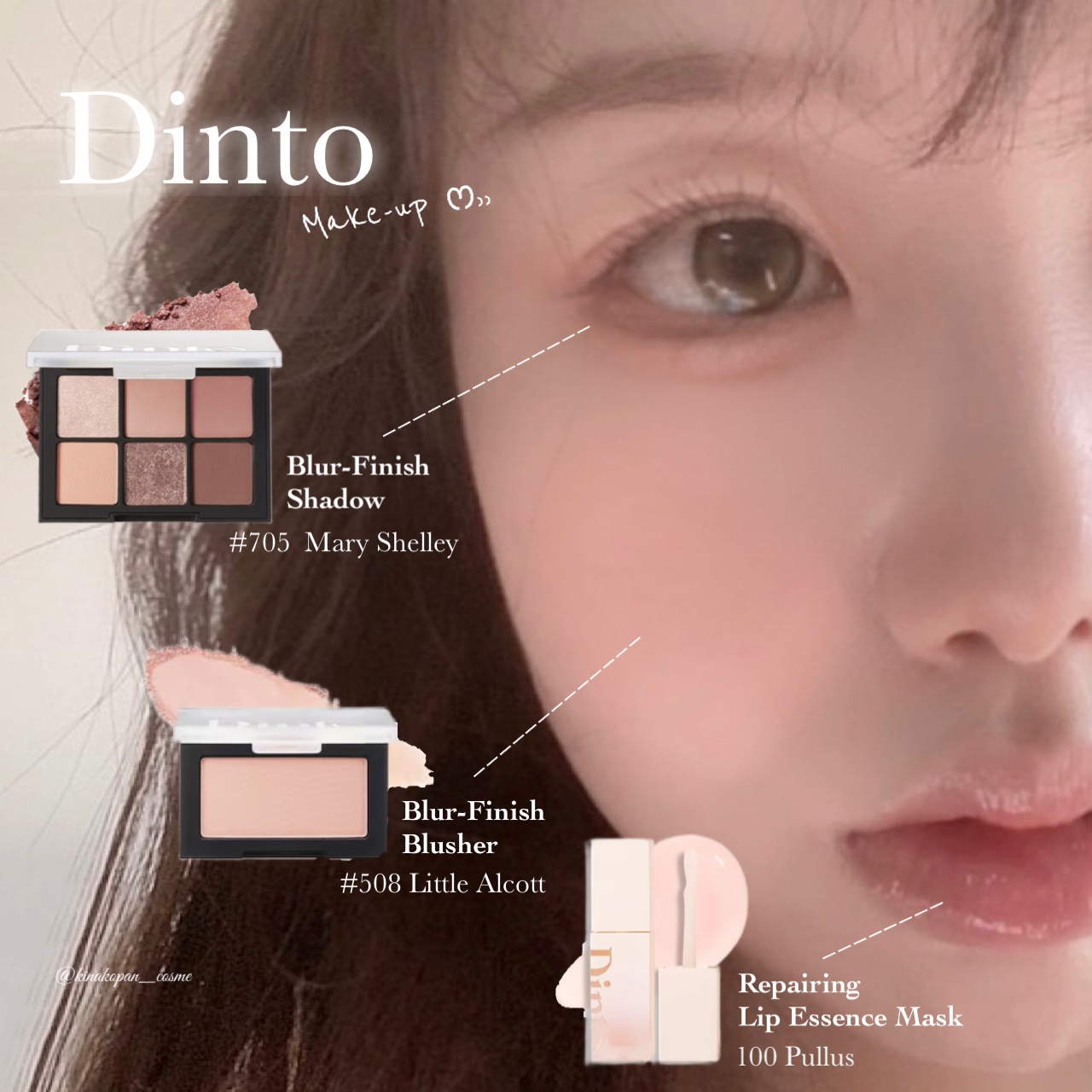 ブラーフィニシュシャドウパレット/Dinto/アイシャドウパレットを使ったクチコミ（1枚目）