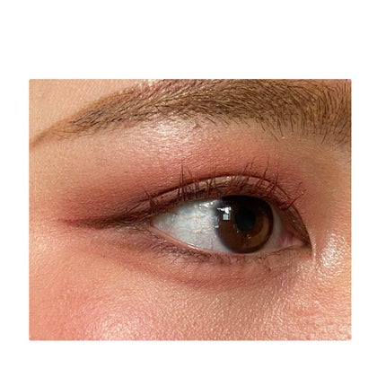 プロ ブラッシャー パレット/CLIO/パウダーチークを使ったクチコミ(2枚目)