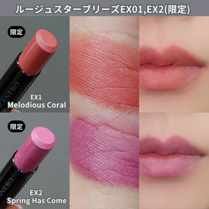 カネボウ ルージュスターブリーズ/KANEBO/口紅を使ったクチコミ(8枚目)