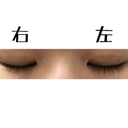 ã䜿ã£ãã¯ãã³ãïŒ2æç®ïŒ
