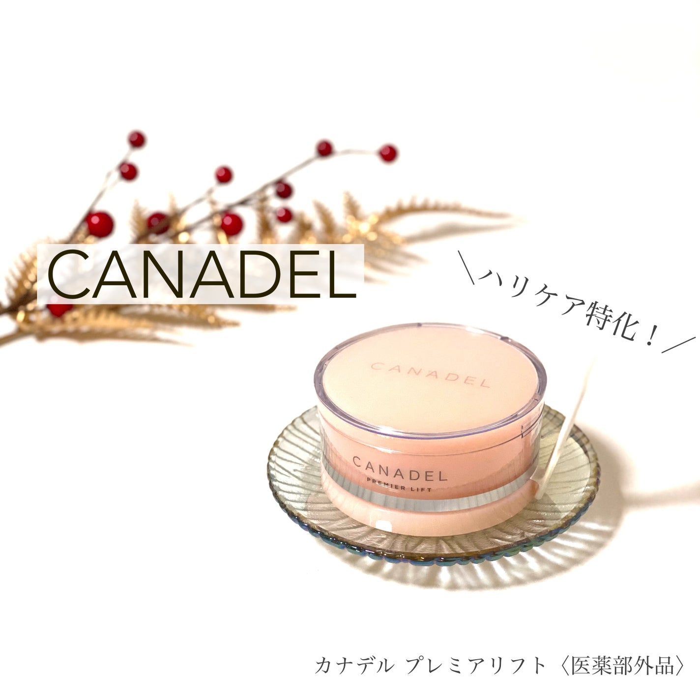 プレミアリフト/CANADEL/オールインワン化粧品を使ったクチコミ(1枚目)