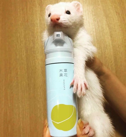 マスクジェル/草花木果/美容液を使ったクチコミ(2枚目)