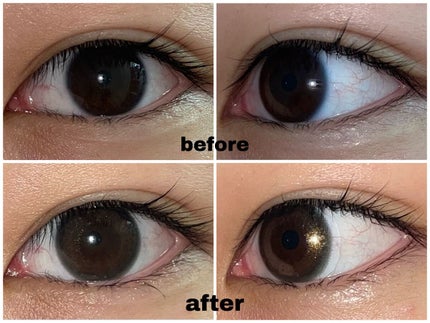 フェアリー ワンデー シマーリングシリーズ Highlighter(ハイライター)/FAIRY/ワンデー(1DAY)カラコンの画像