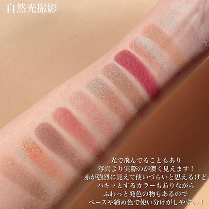 エクスプローラ12色 動物アイシャドウパレット/PERFECT DIARY/アイシャドウパレットを使ったクチコミ(4枚目)