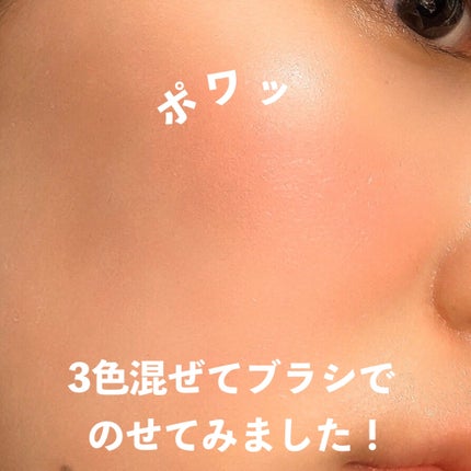 月光人魚 ジュエリーチークブラッシュ/FlowerKnows/パウダーチークを使ったクチコミ(4枚目)