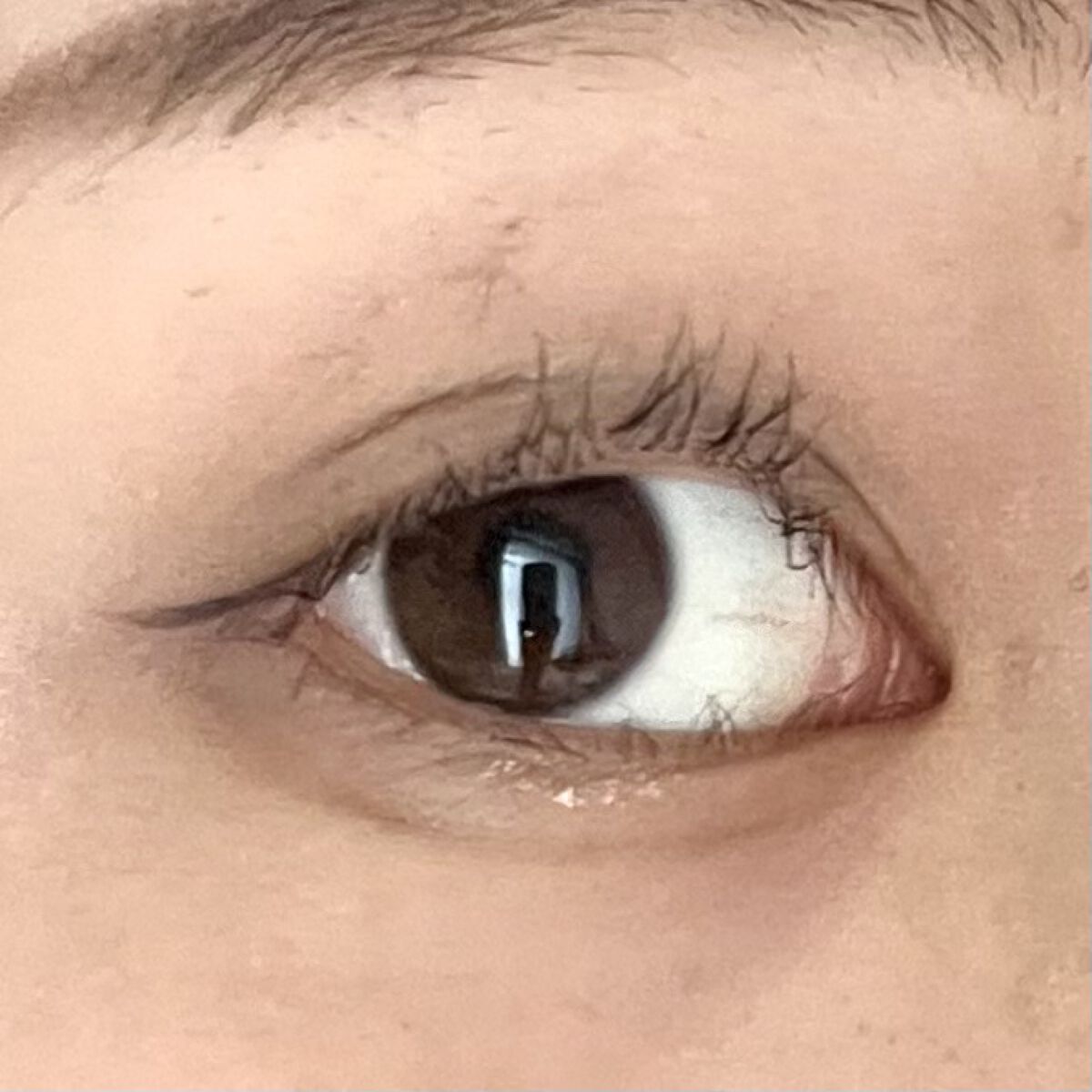 エテュセ アイエディション(カラーパレット) 06 グレージュ/ettusais/アイシャドウパレットを使ったクチコミ（2枚目）