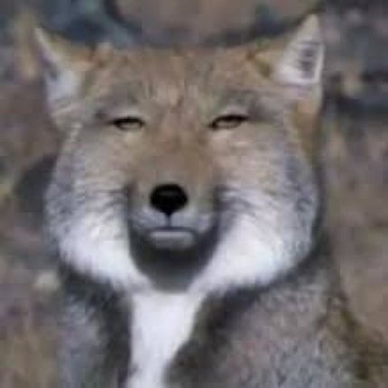 エスポルールカラーアイライナー/エスポルール/リキッドアイライナーを使ったクチコミ(4枚目)