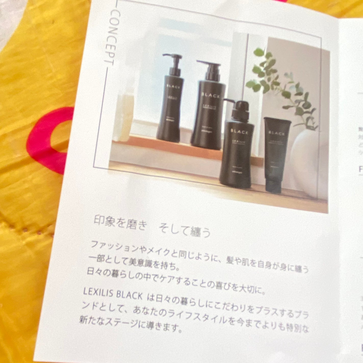 スカルプシャンプー/LEXILIS BLACK FRAGRANCE/頭皮ケアを使ったクチコミ(3枚目)