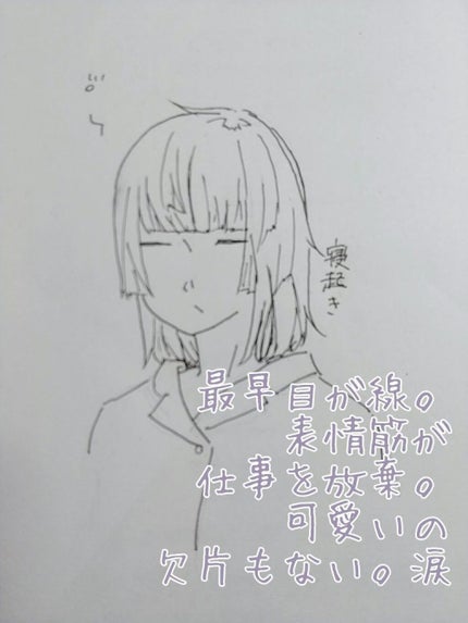 【旧品】マシュマロフィニッシュパウダー/キャンメイク/プレストパウダーを使ったクチコミ(2枚目)