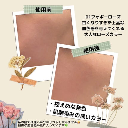 チークブラッシュ/CEZANNE/パウダーチークを使ったクチコミ(2枚目)