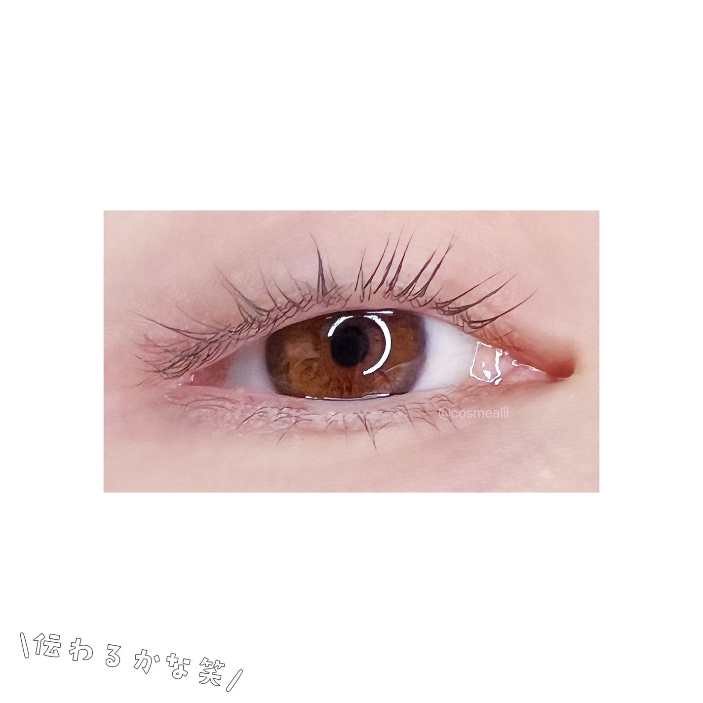 ãå¡ãã€ããŸã€ããèªãŸã€ãéç«ãŠã¿ã€ã/ããžã£ãŽã¥/ãã¹ã«ã©ã䜿ã£ãã¯ãã³ãïŒ6æç®ïŒ