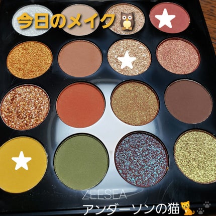 大英博物館 エジプトシリーズ アイシャドウパレット/ZEESEA/アイシャドウパレットを使ったクチコミ(1枚目)